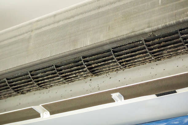 Best Commercial HVAC Duct Cleaning  in Rogue River, OR